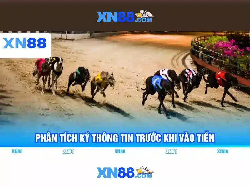 Lợi ích khi đăng nhập XN88