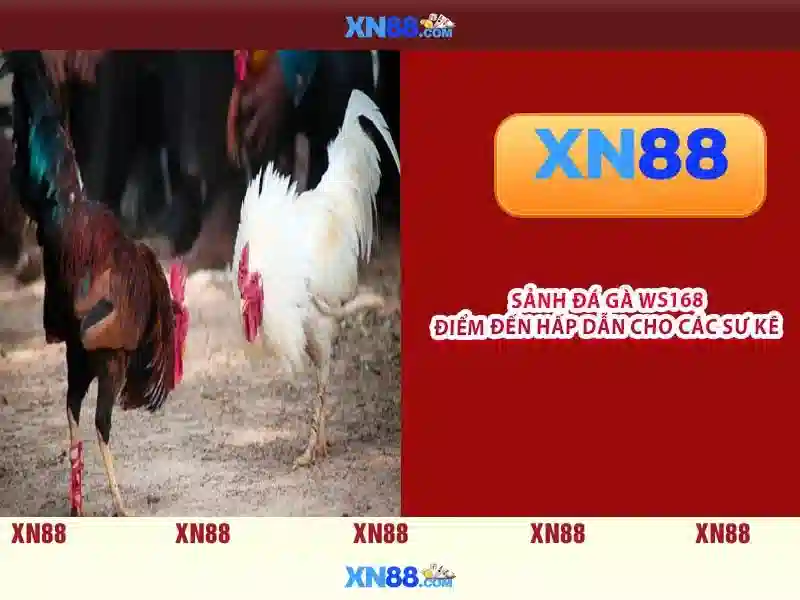 Giao diện Slot trực quan
