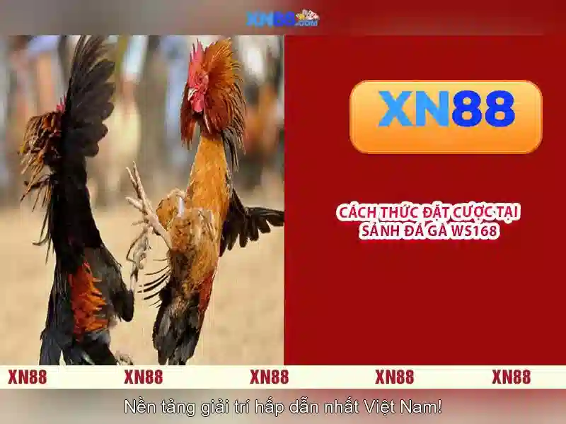 Quy Định Rút Tiền